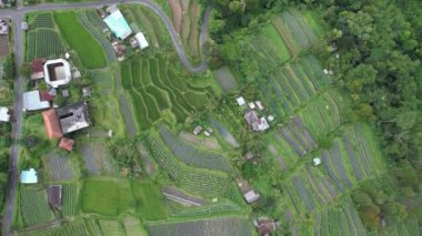 Bali, Endonezya - 11 Kasım 2022: Bali 'nin Turistik Çekim ve Yerleşkeleri