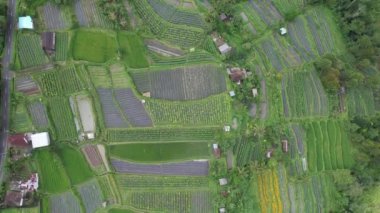 Bali, Endonezya - 11 Kasım 2022: Bali 'nin Turistik Çekim ve Yerleşkeleri