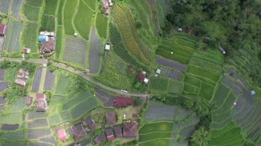 Bali, Endonezya - 11 Kasım 2022: Bali 'nin Turistik Çekim ve Yerleşkeleri