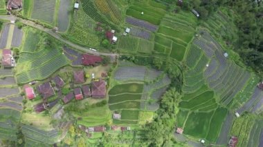 Bali, Endonezya - 11 Kasım 2022: Bali 'nin Turistik Çekim ve Yerleşkeleri