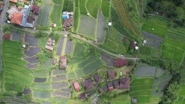 Bali, Endonezya - 11 Kasım 2022: Bali 'nin Turistik Çekim ve Yerleşkeleri