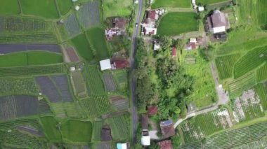 Bali, Endonezya - 11 Kasım 2022: Bali 'nin Turistik Çekim ve Yerleşkeleri