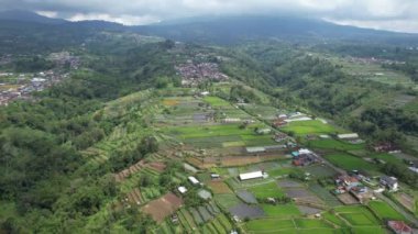 Bali, Endonezya - 11 Kasım 2022: Bali 'nin Turistik Çekim ve Yerleşkeleri