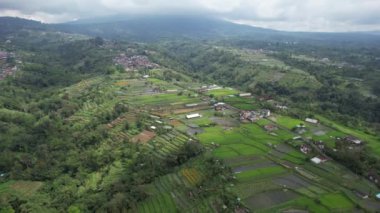 Bali, Endonezya - 11 Kasım 2022: Bali 'nin Turistik Çekim ve Yerleşkeleri