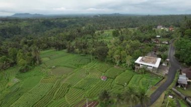 Bali, Endonezya - 11 Kasım 2022: Bali 'nin Turistik Çekim ve Yerleşkeleri