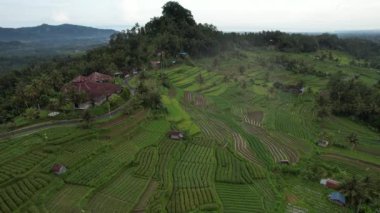 Bali, Endonezya - 11 Kasım 2022: Bali 'nin Turistik Çekim ve Yerleşkeleri