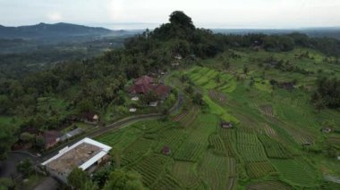 Bali, Endonezya - 11 Kasım 2022: Bali 'nin Turistik Çekim ve Yerleşkeleri
