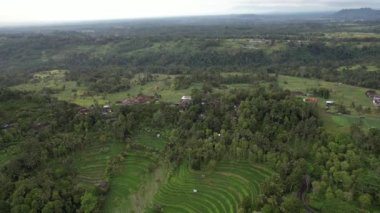 Bali, Endonezya - 11 Kasım 2022: Bali 'nin Turistik Çekim ve Yerleşkeleri