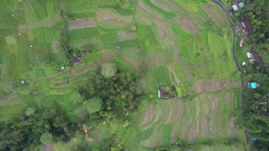 Bali, Endonezya - 11 Kasım 2022: Bali 'nin Turistik Çekim ve Yerleşkeleri