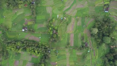 Bali, Endonezya - 11 Kasım 2022: Bali 'nin Turistik Çekim ve Yerleşkeleri