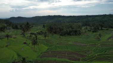 Bali, Endonezya - 11 Kasım 2022: Bali 'nin Turistik Çekim ve Yerleşkeleri