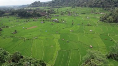 Bali, Endonezya - 11 Kasım 2022: Bali 'nin Turistik Çekim ve Yerleşkeleri