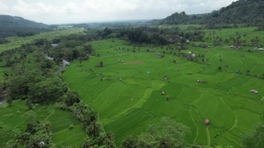 Bali, Endonezya - 11 Kasım 2022: Bali 'nin Turistik Çekim ve Yerleşkeleri