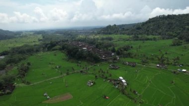 Bali, Endonezya - 11 Kasım 2022: Bali 'nin Turistik Çekim ve Yerleşkeleri