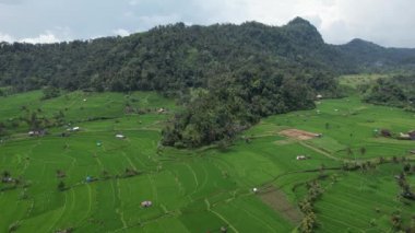 Bali, Endonezya - 11 Kasım 2022: Bali 'nin Turistik Çekim ve Yerleşkeleri