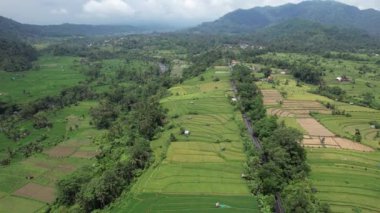 Bali, Endonezya - 11 Kasım 2022: Bali 'nin Turistik Çekim ve Yerleşkeleri