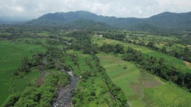 Bali, Endonezya - 11 Kasım 2022: Bali 'nin Turistik Çekim ve Yerleşkeleri