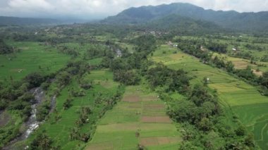 Bali, Endonezya - 11 Kasım 2022: Bali 'nin Turistik Çekim ve Yerleşkeleri