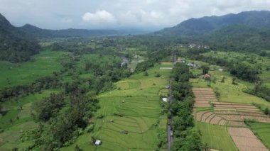 Bali, Endonezya - 11 Kasım 2022: Bali 'nin Turistik Çekim ve Yerleşkeleri