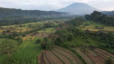 Bali, Endonezya - 11 Kasım 2022: Bali 'nin Turistik Çekim ve Yerleşkeleri