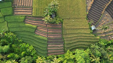 Bali, Endonezya - 11 Kasım 2022: Bali 'nin Turistik Çekim ve Yerleşkeleri