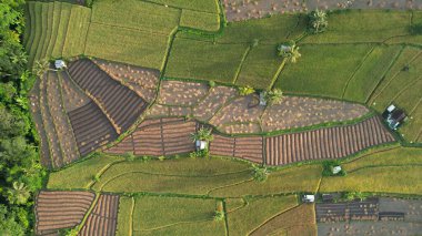 Bali, Endonezya - 11 Kasım 2022: Bali 'nin Turistik Çekim ve Yerleşkeleri