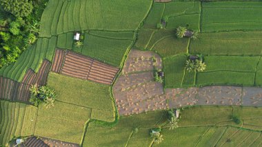 Bali, Endonezya - 11 Kasım 2022: Bali 'nin Turistik Çekim ve Yerleşkeleri