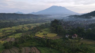 Bali, Endonezya - 11 Kasım 2022: Bali 'nin Turistik Çekim ve Yerleşkeleri