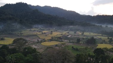 Bali, Endonezya - 11 Kasım 2022: Bali 'nin Turistik Çekim ve Yerleşkeleri