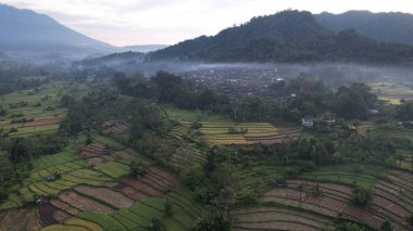 Bali, Endonezya - 11 Kasım 2022: Bali 'nin Turistik Çekim ve Yerleşkeleri