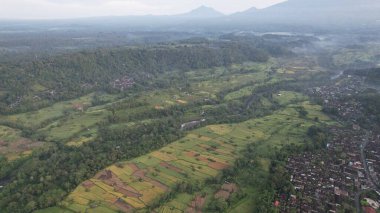 Bali, Endonezya - 11 Kasım 2022: Bali 'nin Turistik Çekim ve Yerleşkeleri