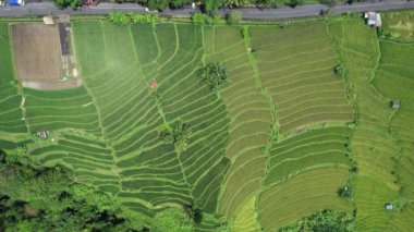 Bali, Endonezya - 11 Kasım 2022: Bali 'nin Turistik Çekim ve Yerleşkeleri