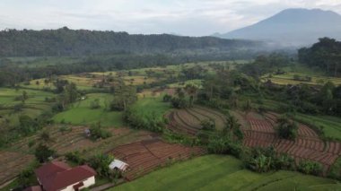 Bali, Endonezya - 11 Kasım 2022: Bali 'nin Turistik Çekim ve Yerleşkeleri