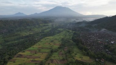 Bali, Endonezya - 11 Kasım 2022: Bali 'nin Turistik Çekim ve Yerleşkeleri