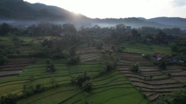 Bali, Endonezya - 11 Kasım 2022: Bali 'nin Turistik Çekim ve Yerleşkeleri