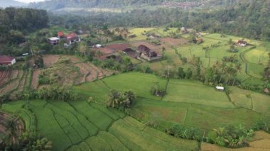 Bali, Endonezya - 11 Kasım 2022: Bali 'nin Turistik Çekim ve Yerleşkeleri