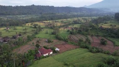 Bali, Endonezya - 11 Kasım 2022: Bali 'nin Turistik Çekim ve Yerleşkeleri