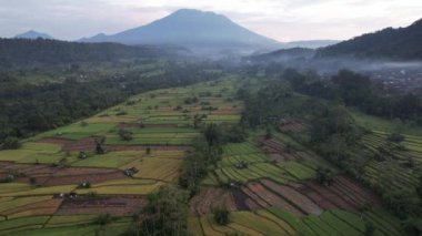 Bali, Endonezya - 11 Kasım 2022: Bali 'nin Turistik Çekim ve Yerleşkeleri