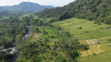 Bali, Endonezya - 11 Kasım 2022: Bali 'nin Turistik Çekim ve Yerleşkeleri