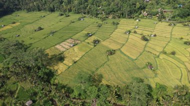 Bali, Endonezya - 11 Kasım 2022: Bali 'nin Turistik Çekim ve Yerleşkeleri