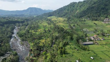 Bali, Endonezya - 11 Kasım 2022: Bali 'nin Turistik Çekim ve Yerleşkeleri