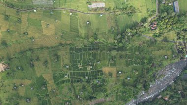 Bali, Endonezya - 11 Kasım 2022: Bali 'nin Turistik Çekim ve Yerleşkeleri