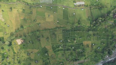 Bali, Endonezya - 11 Kasım 2022: Bali 'nin Turistik Çekim ve Yerleşkeleri