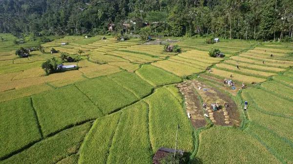 Stock image Bali, Indonesia - November 11, 2022: The Tourist Attractions and Landmarks of Bali