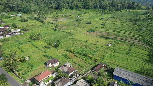 Bali Indonesia November 2022 Atraksi Turis Dan Markah Tanah Bali — Stok Foto