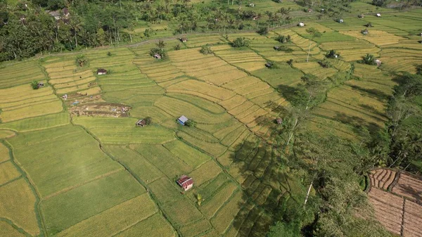 stock image Bali, Indonesia - November 11, 2022: The Tourist Attractions and Landmarks of Bali