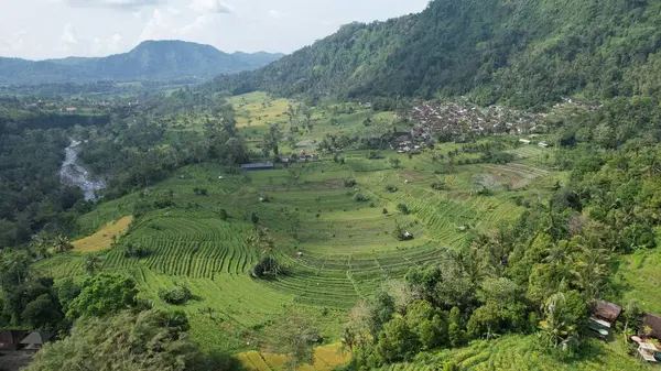 印度尼西亚巴厘 2022年11月11日 巴厘岛的旅游景点和地标 — 图库照片