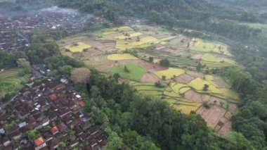 Bali, Endonezya - 11 Kasım 2022: Bali 'nin Turistik Çekim ve Yerleşkeleri