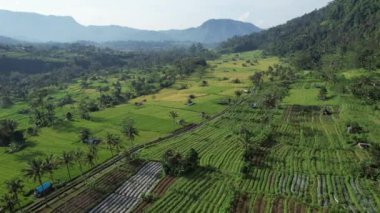 Bali, Endonezya - 11 Kasım 2022: Bali 'nin Turistik Çekim ve Yerleşkeleri