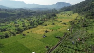 Bali, Endonezya - 11 Kasım 2022: Bali 'nin Turistik Çekim ve Yerleşkeleri